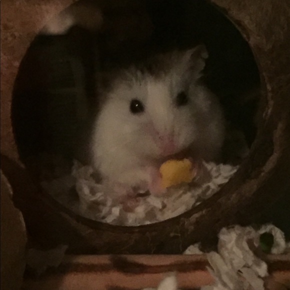 Meet your Posher, Patti - Picture 7 of 11